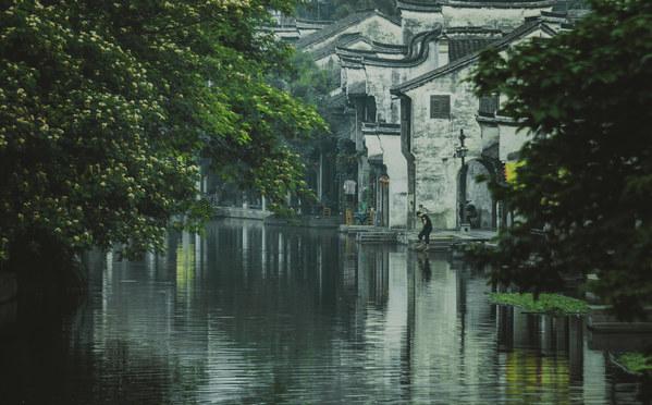 蛇蛇足球赛